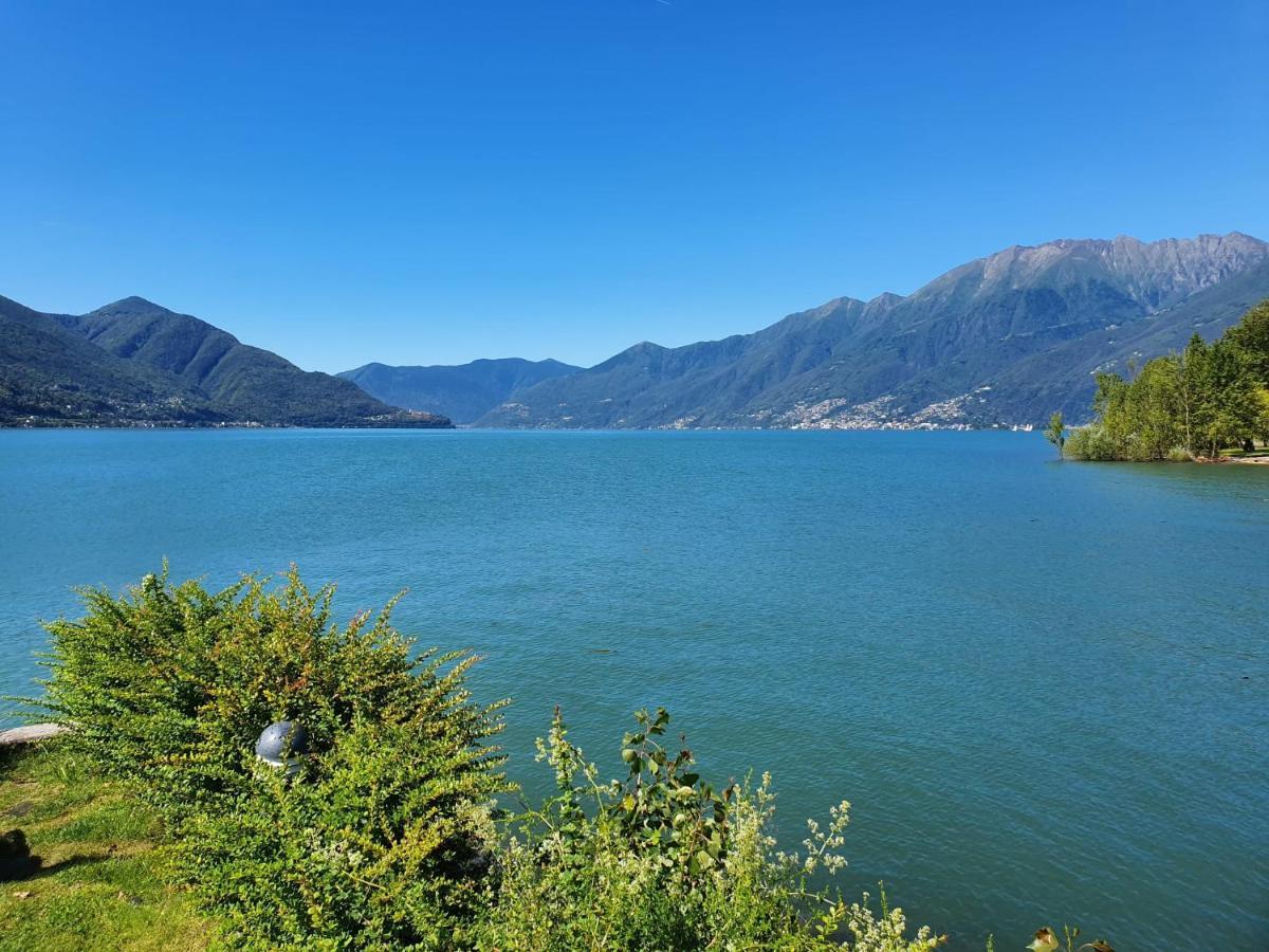 La Pergola Lägenhet Avegno Exteriör bild